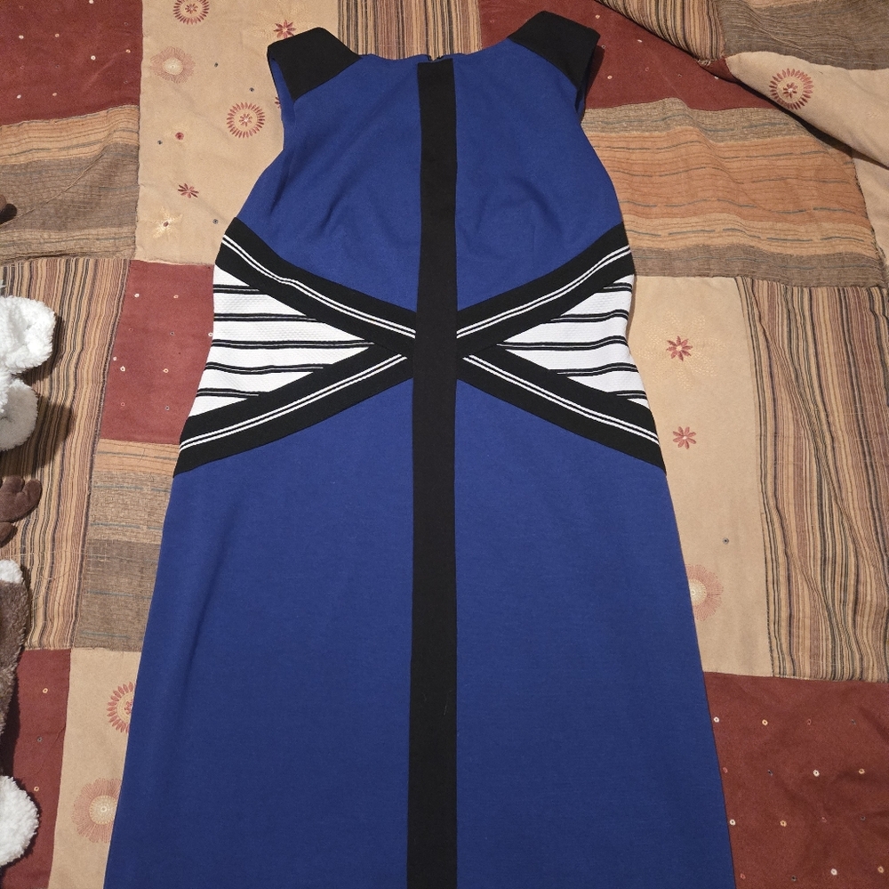 Ivankas Trump Elegant Blue and Black Women's Dress